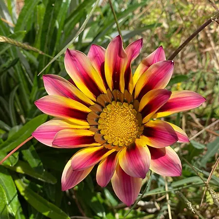 Vilă Oktapolis Dalaman