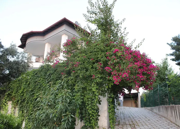 Oktapolis Willa