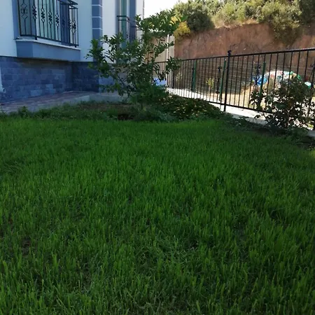 Oktapolis *