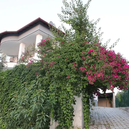 Oktapolis Villa